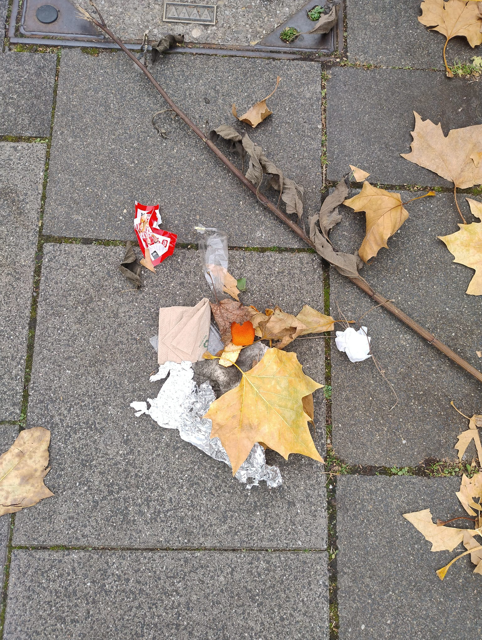 Oktober 2025: Wilder Müll im Vitalisgärtchen