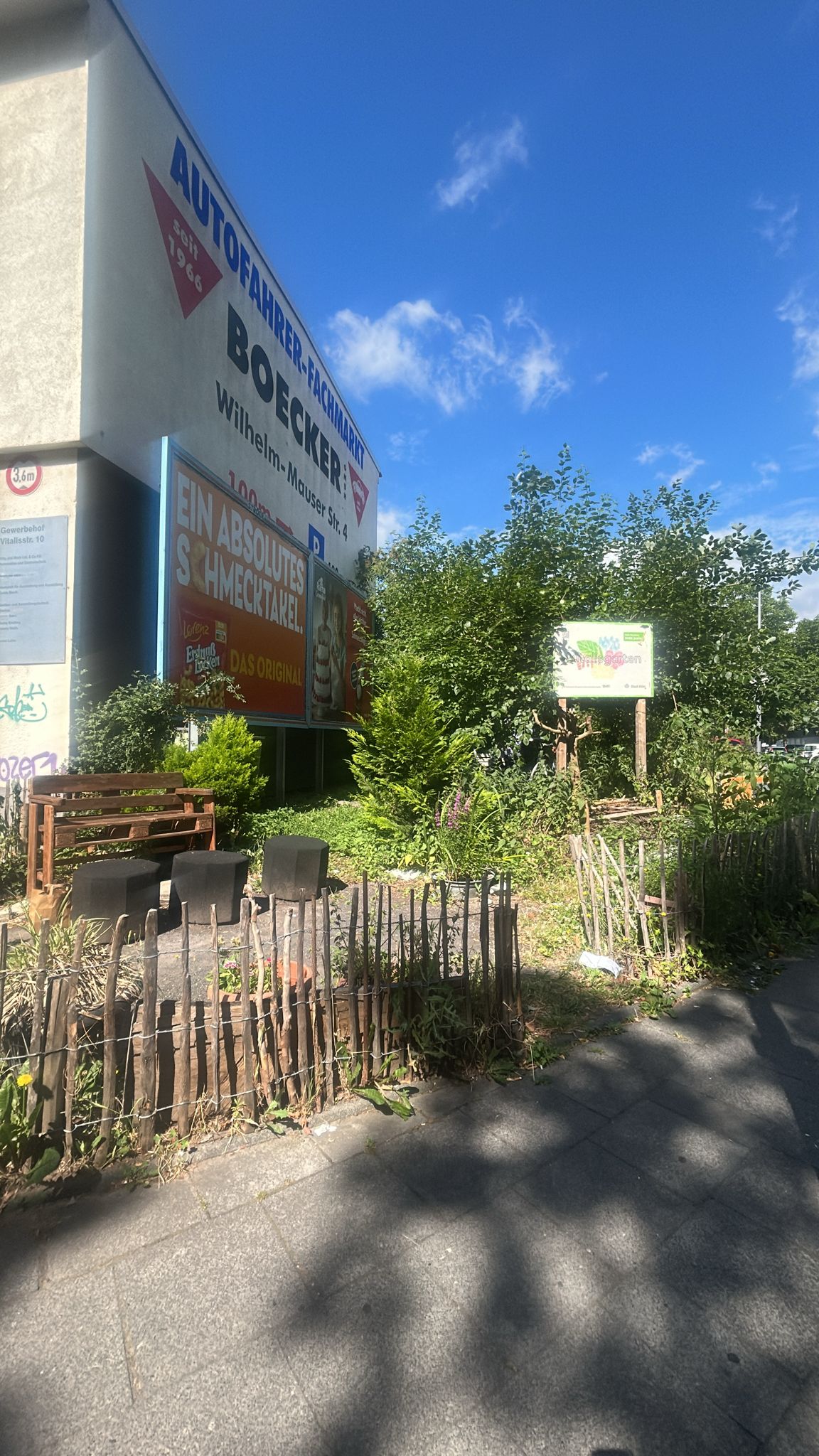 Juni 2025: Das Vitalisgärtchen