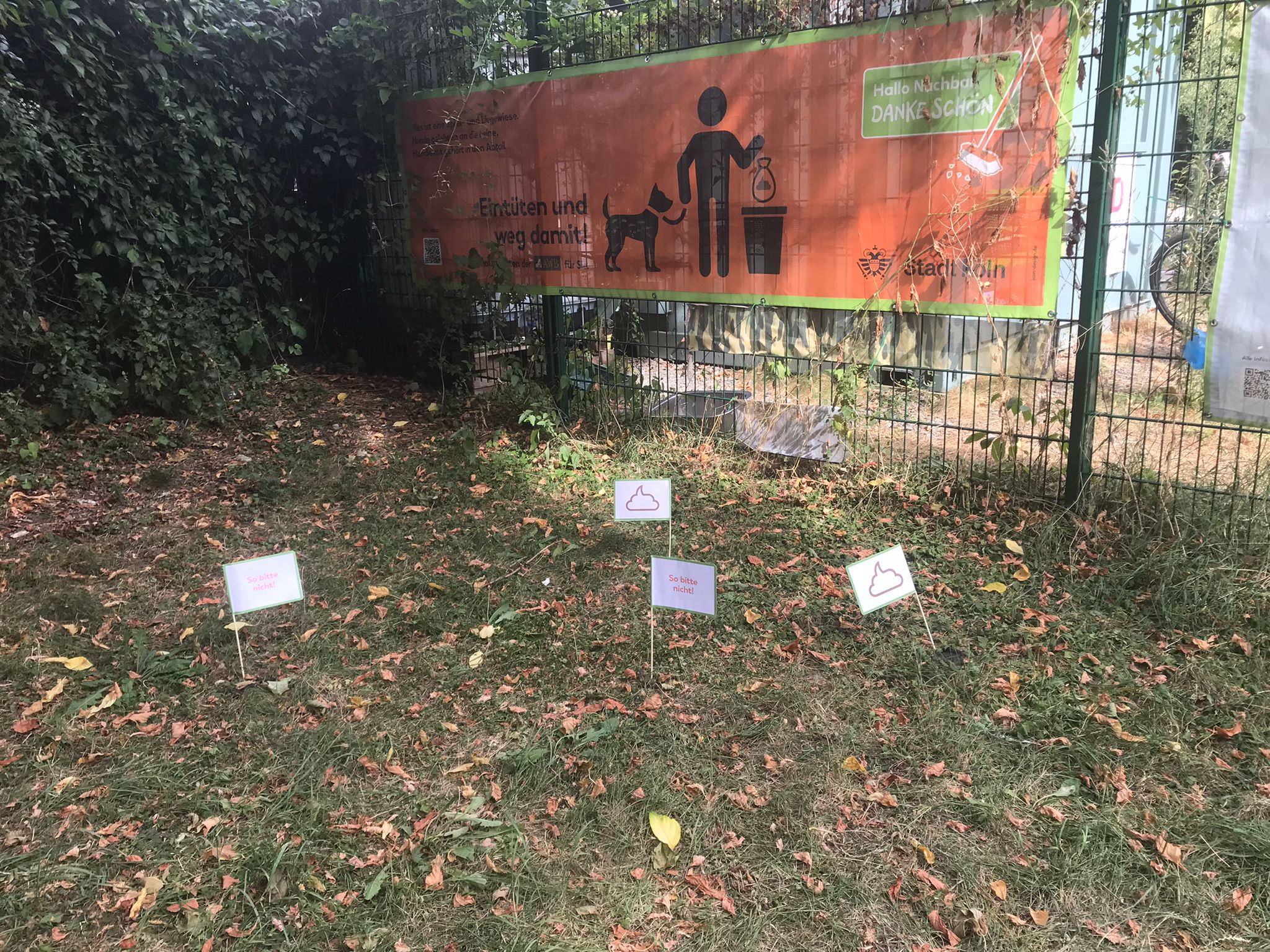 August 2025: Hundekot-Aktion