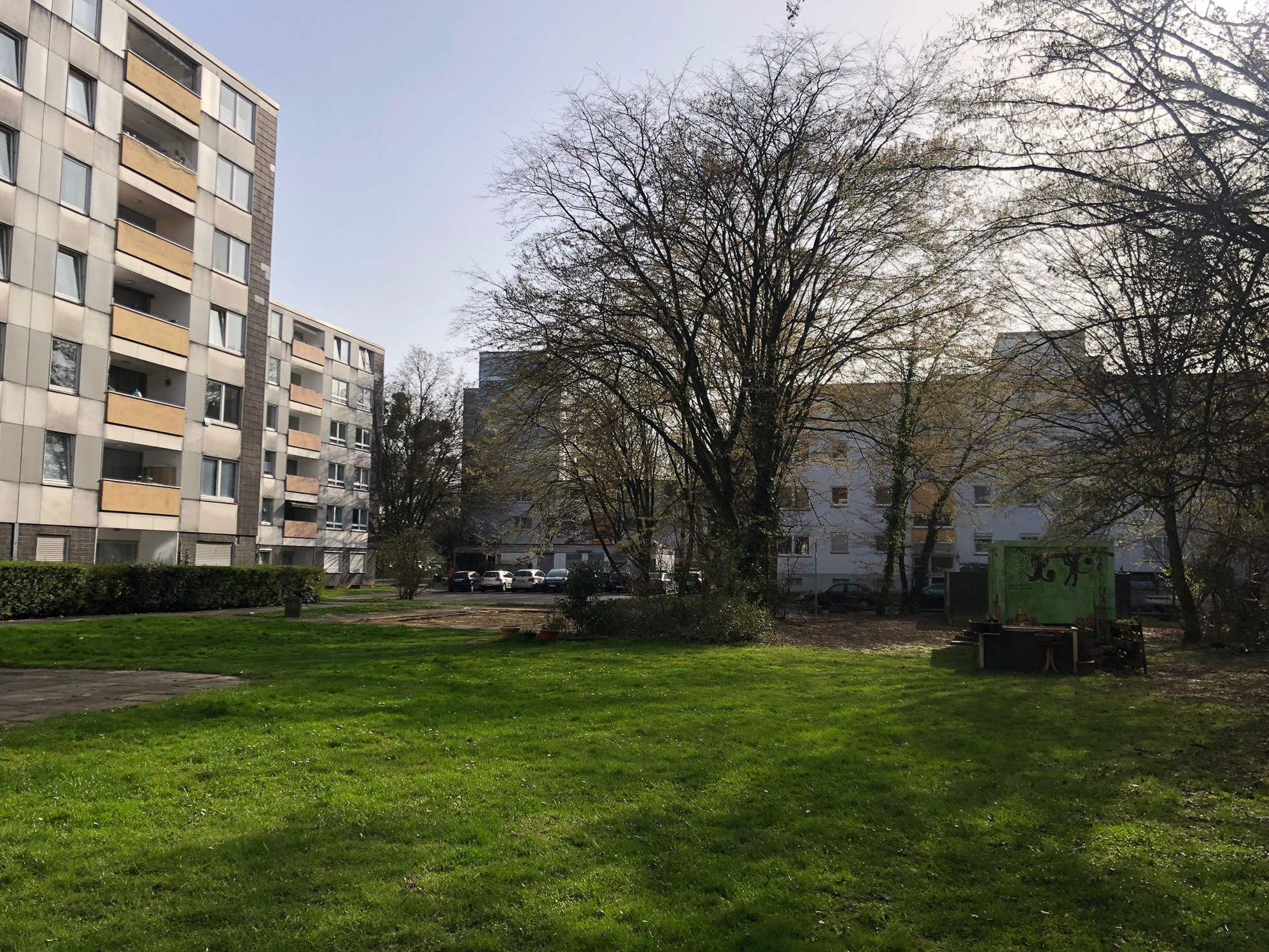 Februar 2026: Rasenfläche Ludwig-Quidde-Platz