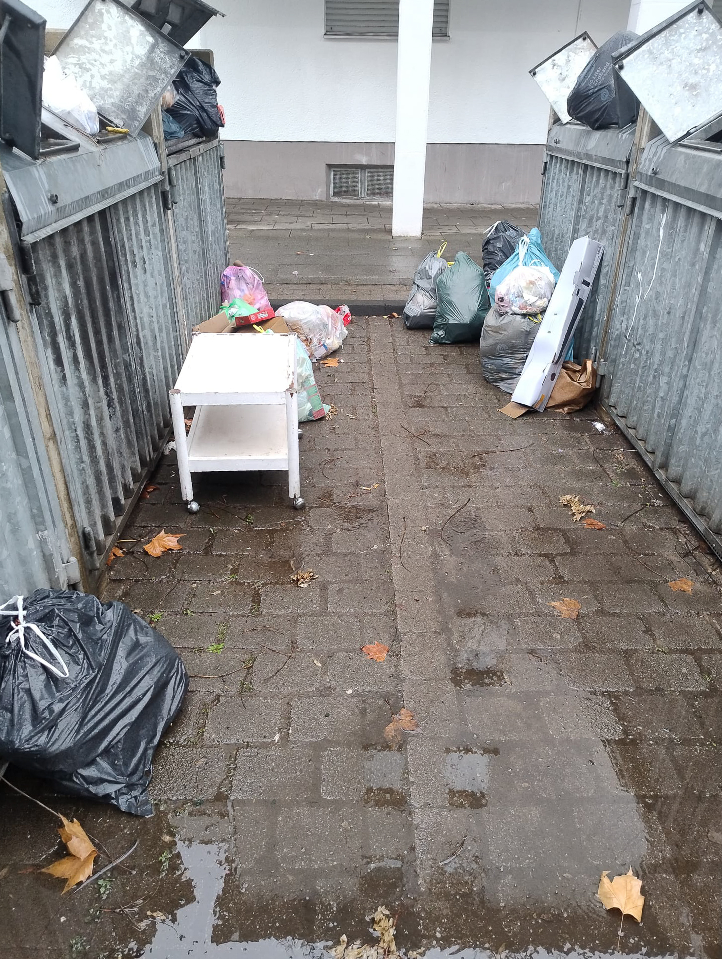 Februar 2026: Wilder Sperrmüll am Müllplatz Steubenstraße