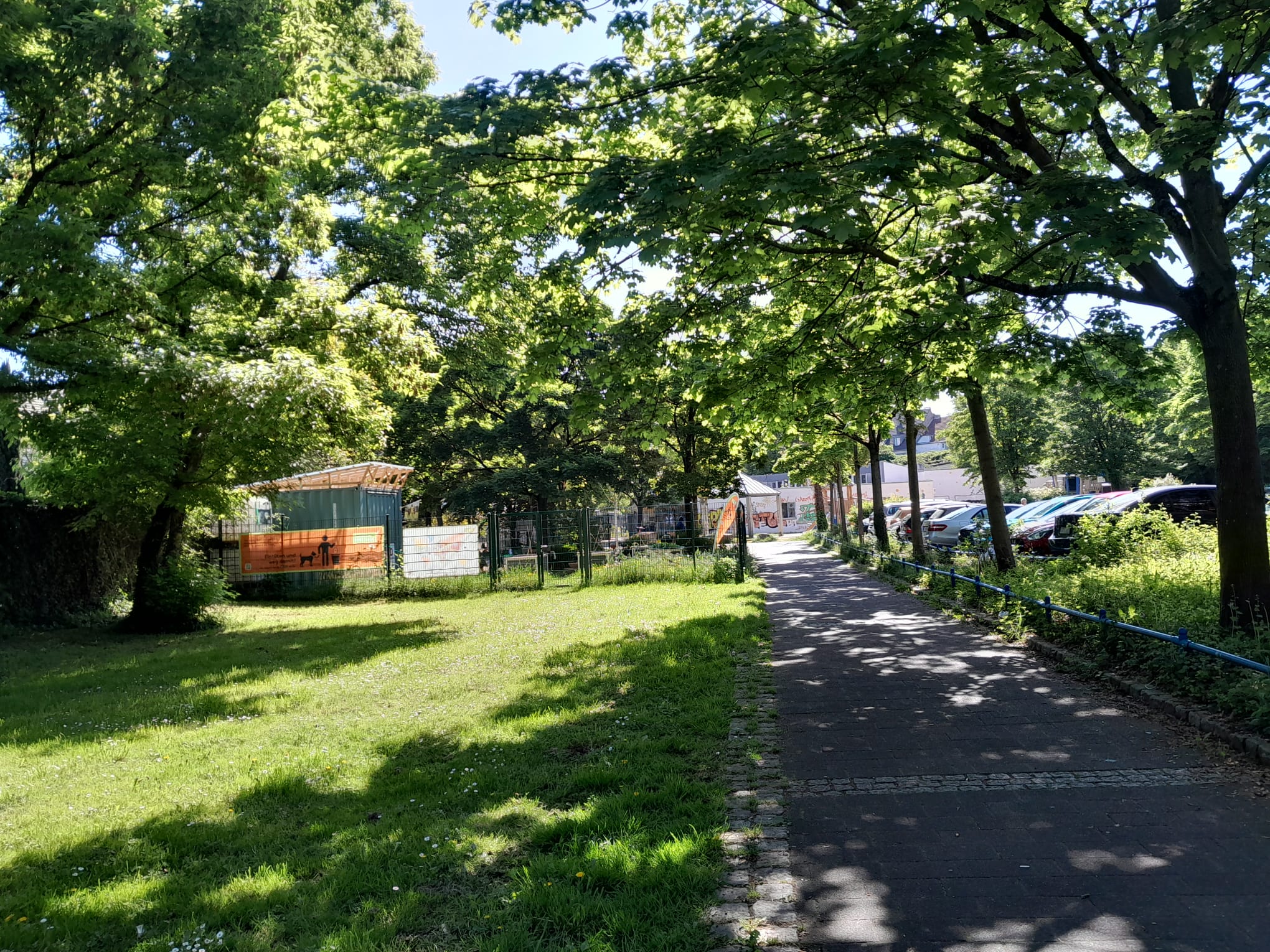 April 2025: Fußgängerweg; Blick Richtung Genovevagarten