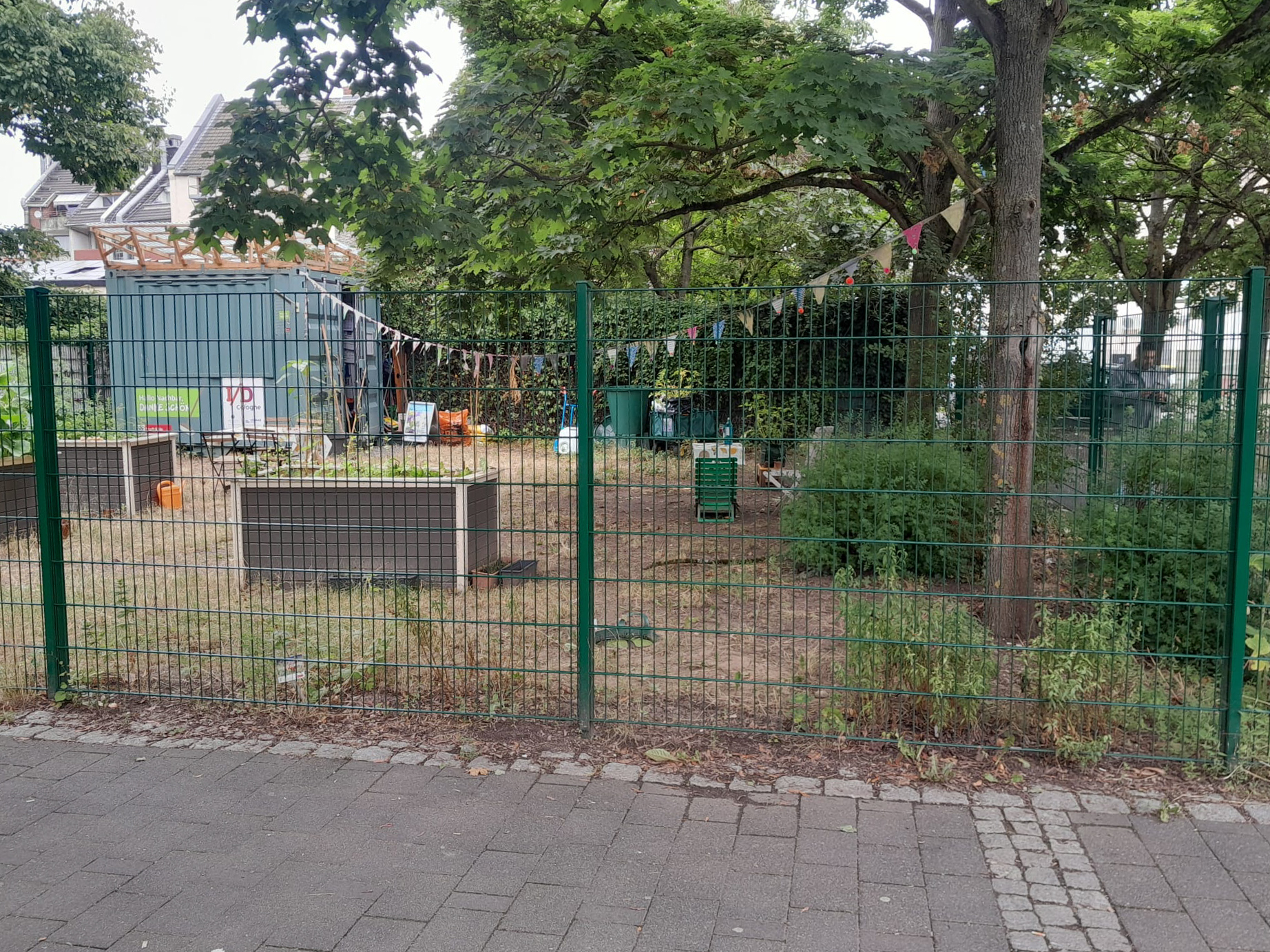 Juli 2025: Genovevagarten