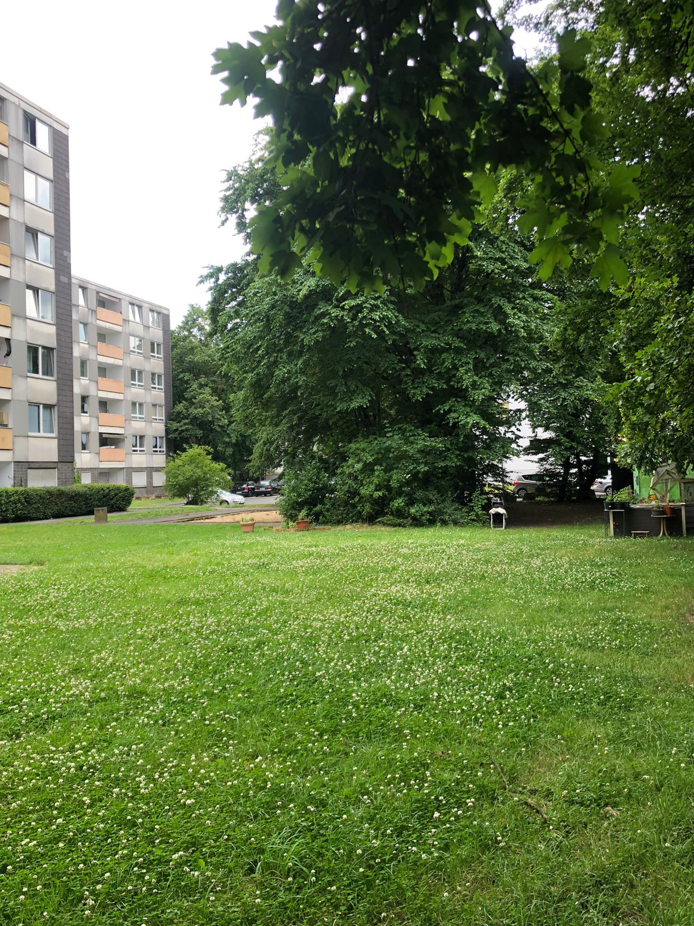 Juni 2025: Rasenfläche Ludwig-Quidde-Platz