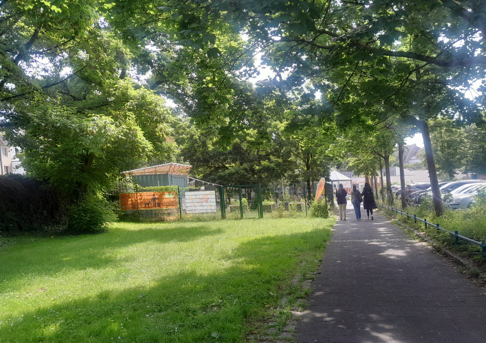 Juni 2025: Fußgängerweg; Blick Richtung Genovevagarten