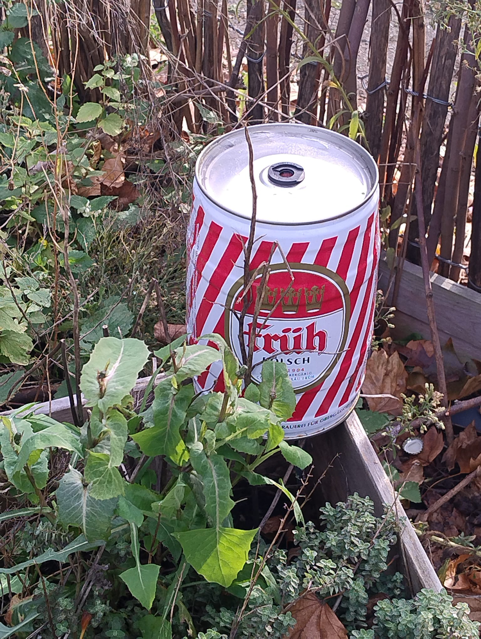 Oktober 2025: Wilder Müll im Vitalisgärtchen