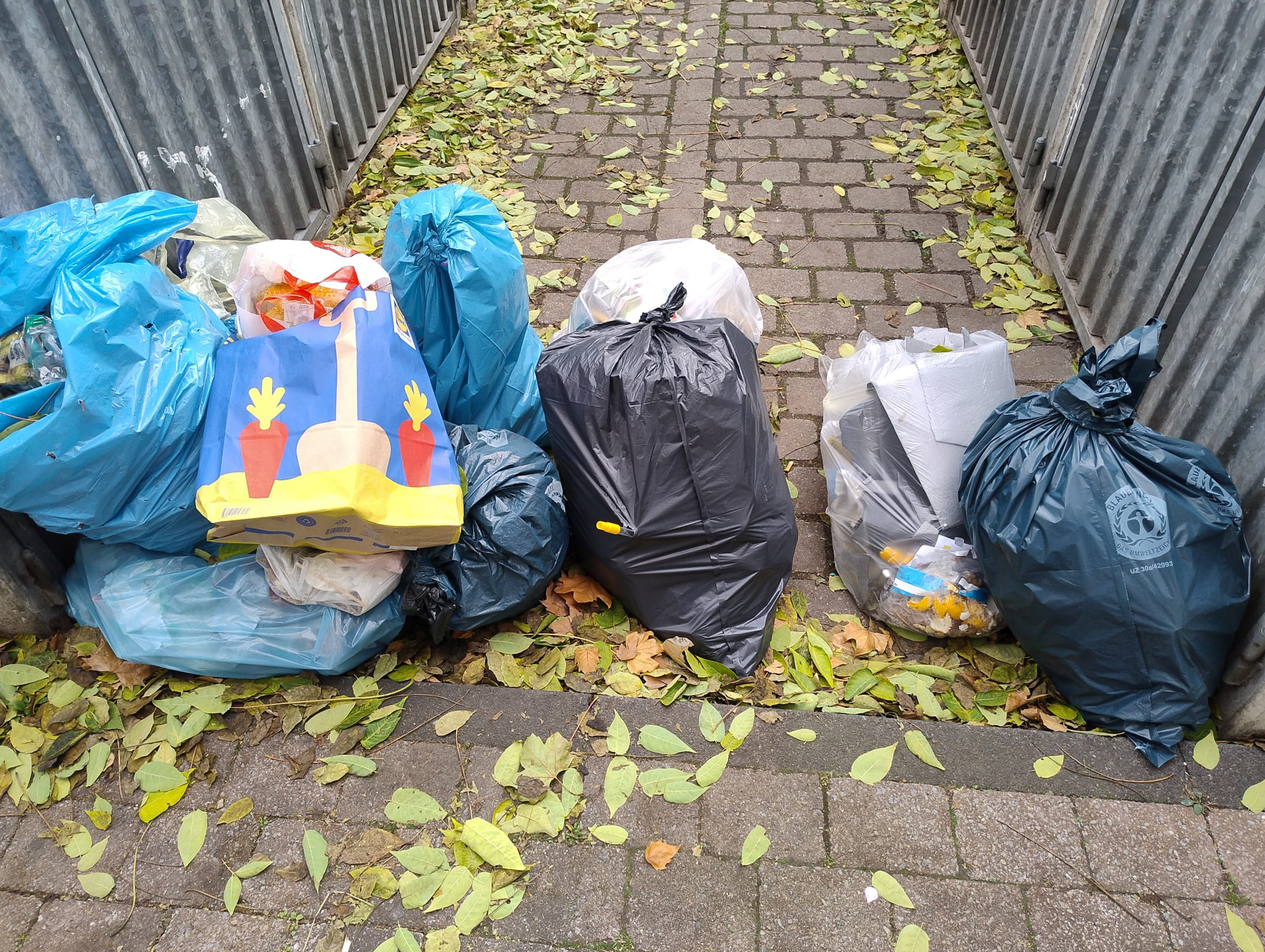 Oktober 2025: Wilder Hausmüll am Müllplatz Steubenstraße
