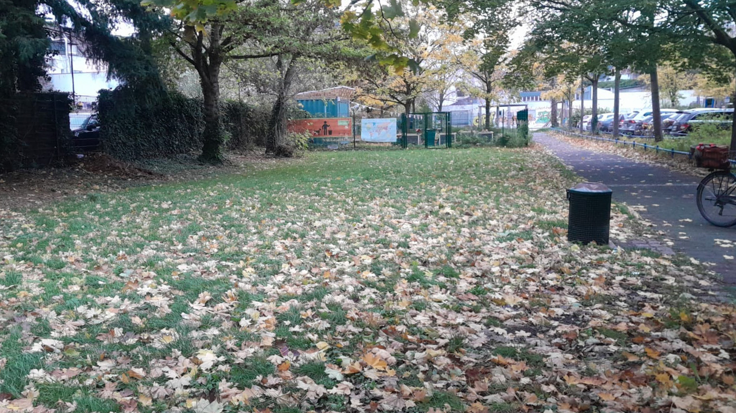 Oktober 2025: Rasenfläche Genovevahof