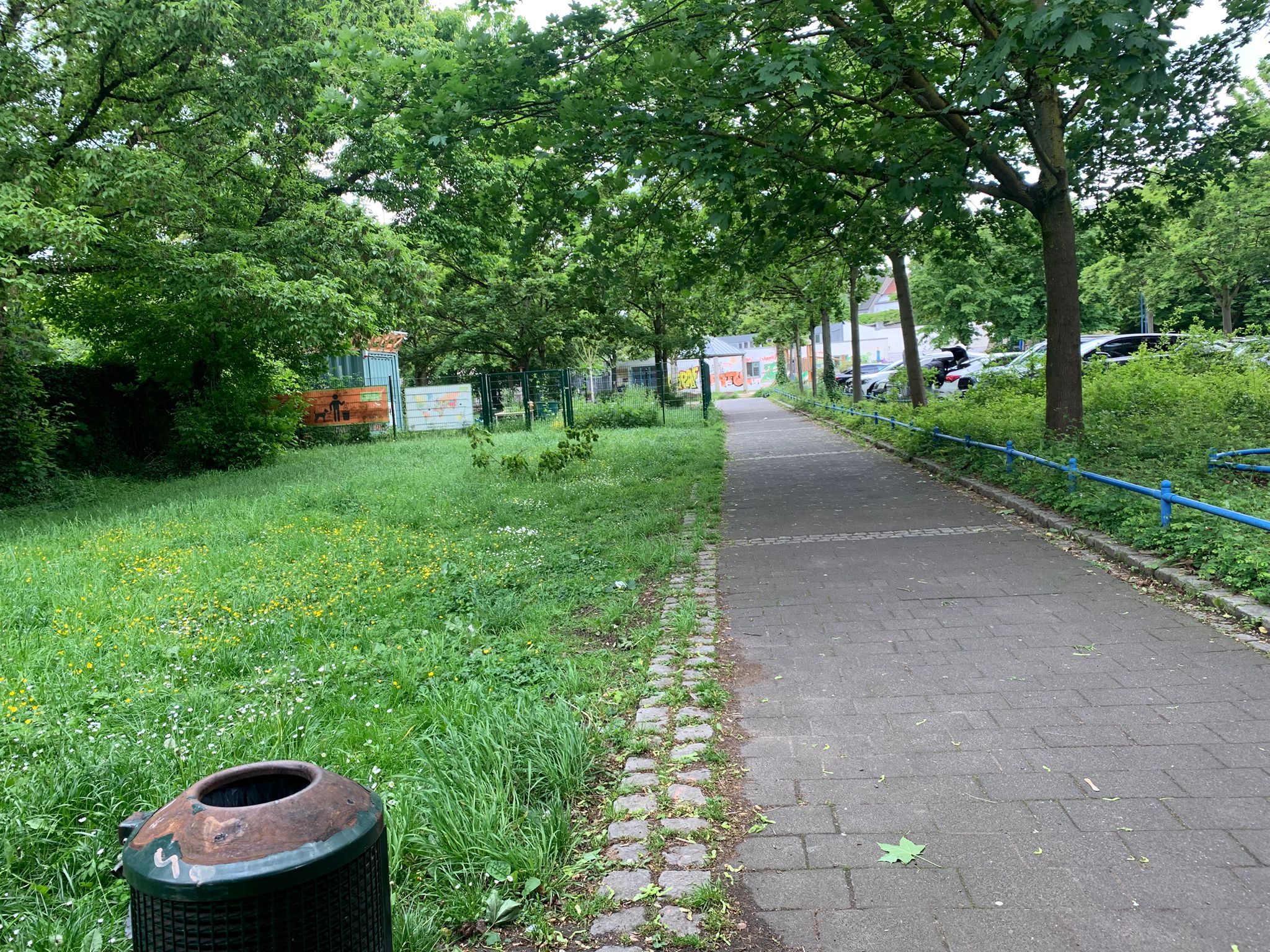 Mai 2026: Fußgängerweg; Blick Richtung Genovevagarten