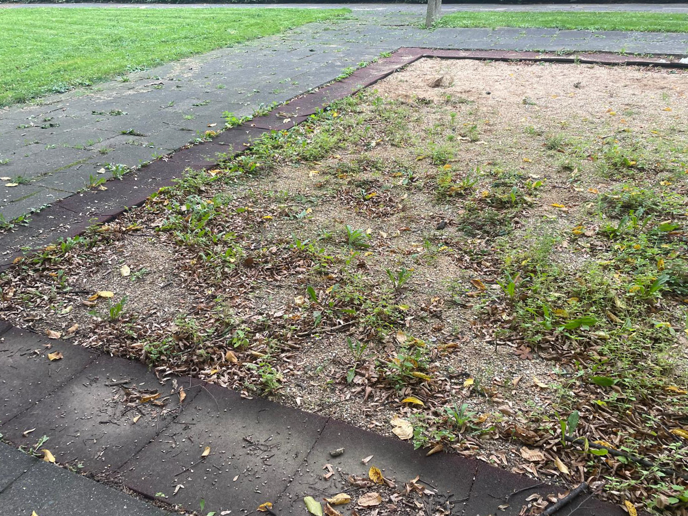 Oktober 2025: Sandkasten Detailaufnahme