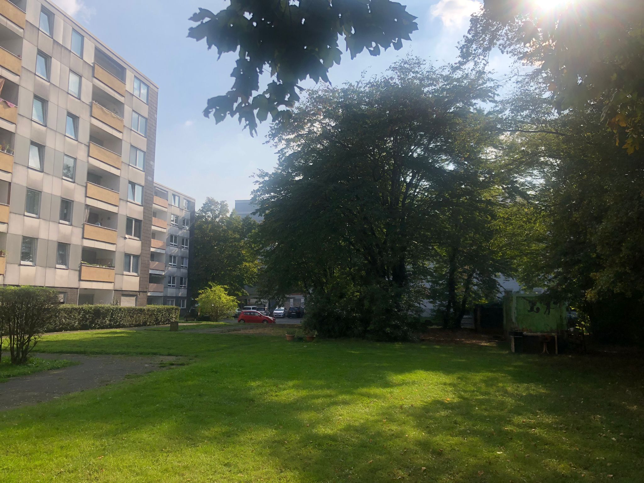 September 2025: Rasenfläche Ludwig-Quidde-Platz