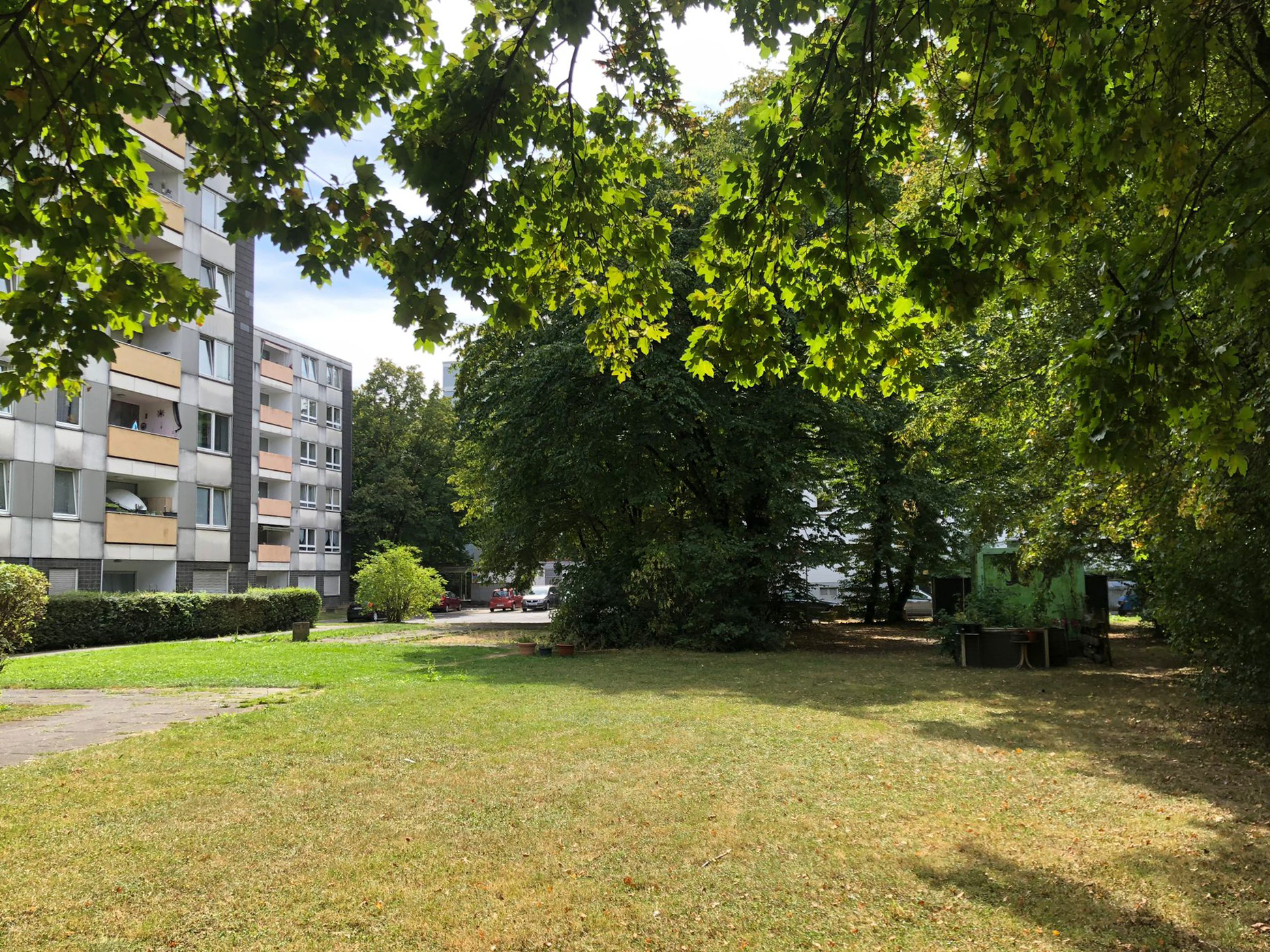 August 2025: Rasenfläche Ludwig-Quidde-Platz