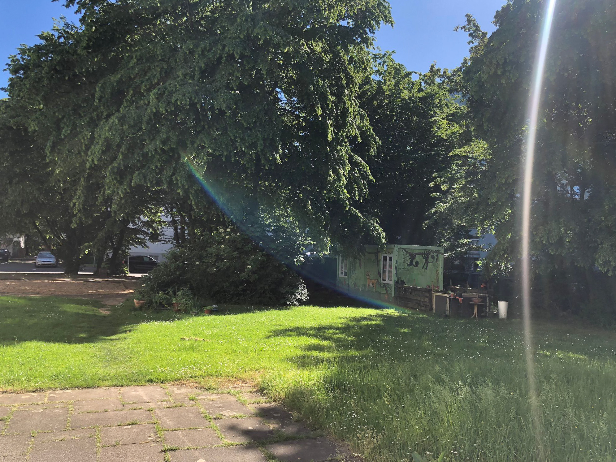 Mai 2026: Rasenfläche Ludwig-Quidde-Platz