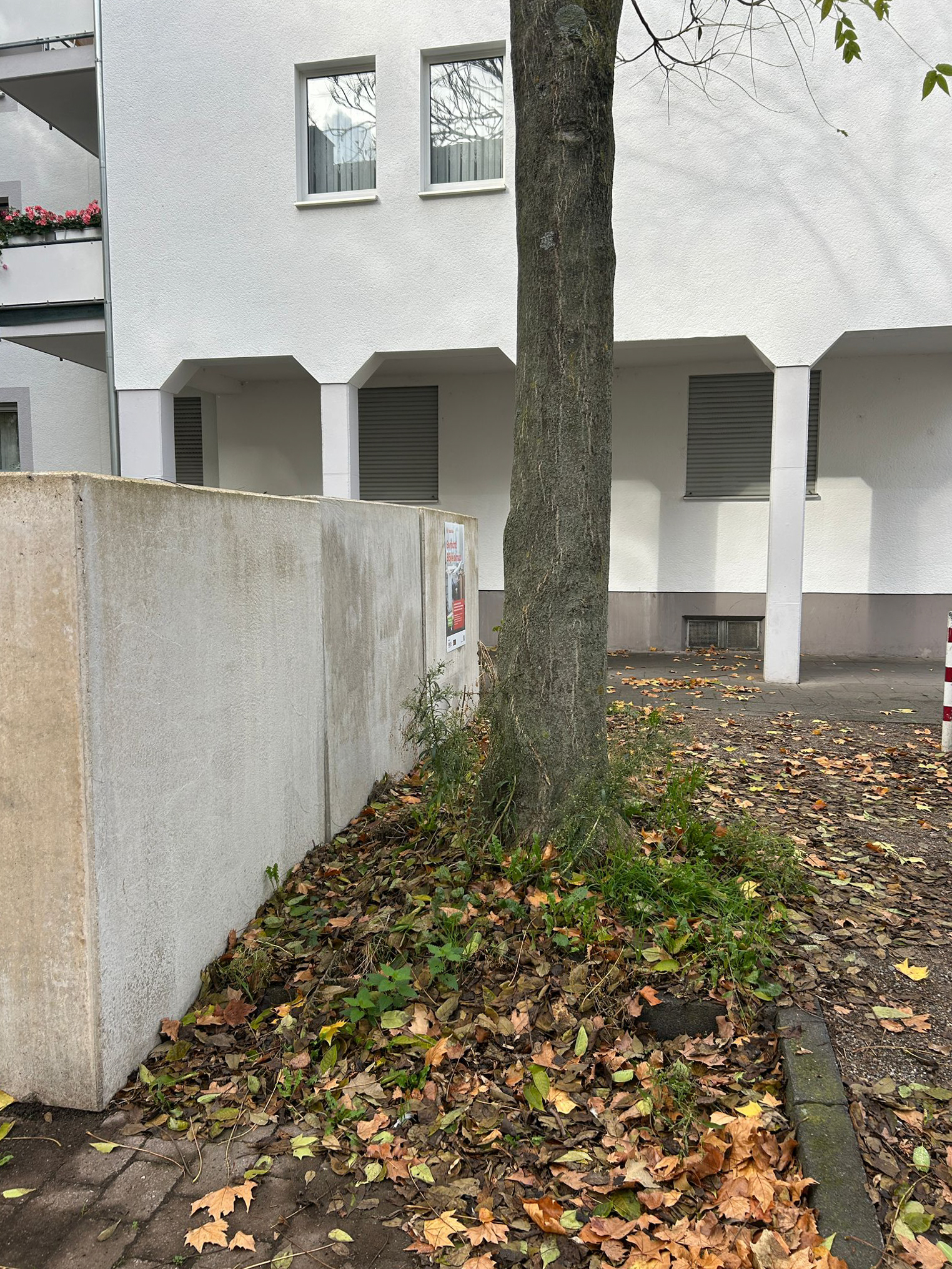 Oktober 2025: Müllplatz Steubenstraße