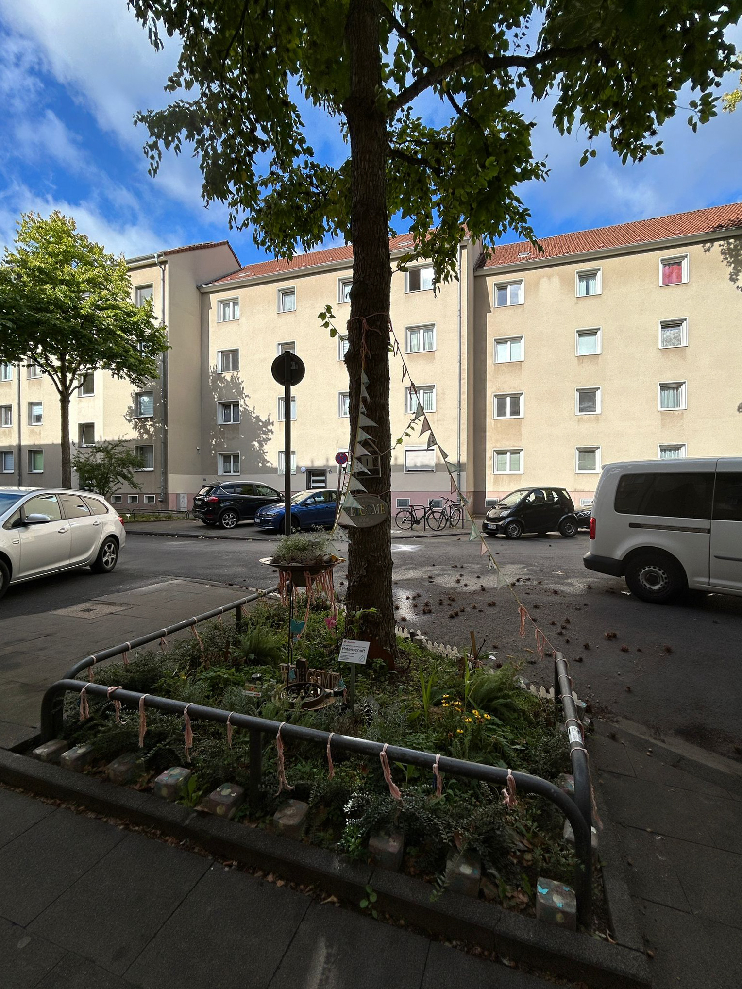 September 2025: Baumscheibe in der Steubenstraße