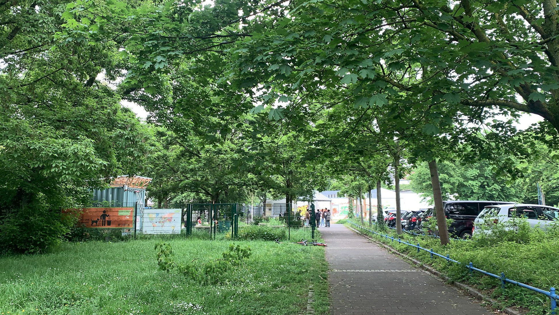 April 2026: Fußgängerweg; Blick Richtung Genovevagarten