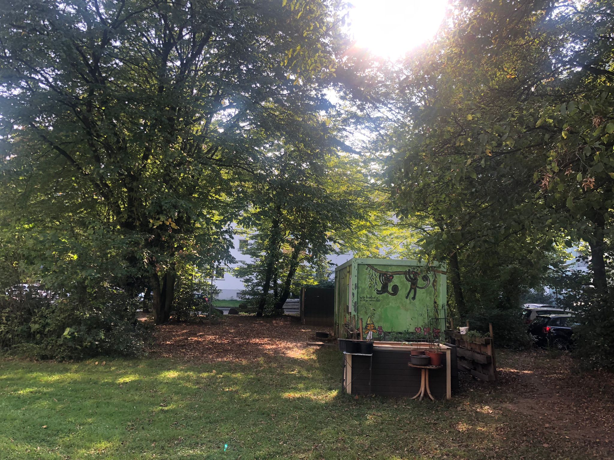 September 2025: Container und Beete