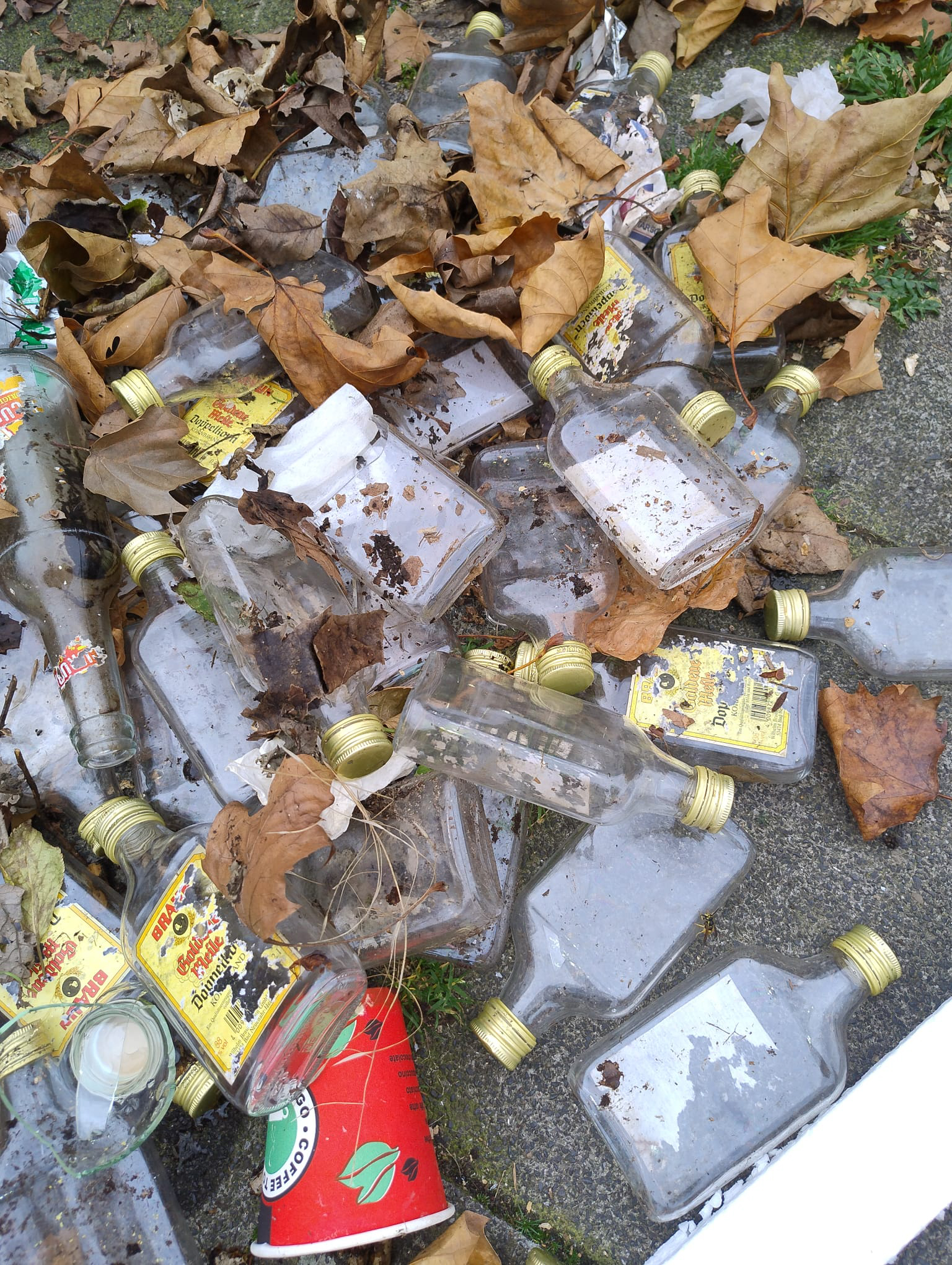 Oktober 2025: Wilder Müll im Vitalisgärtchen