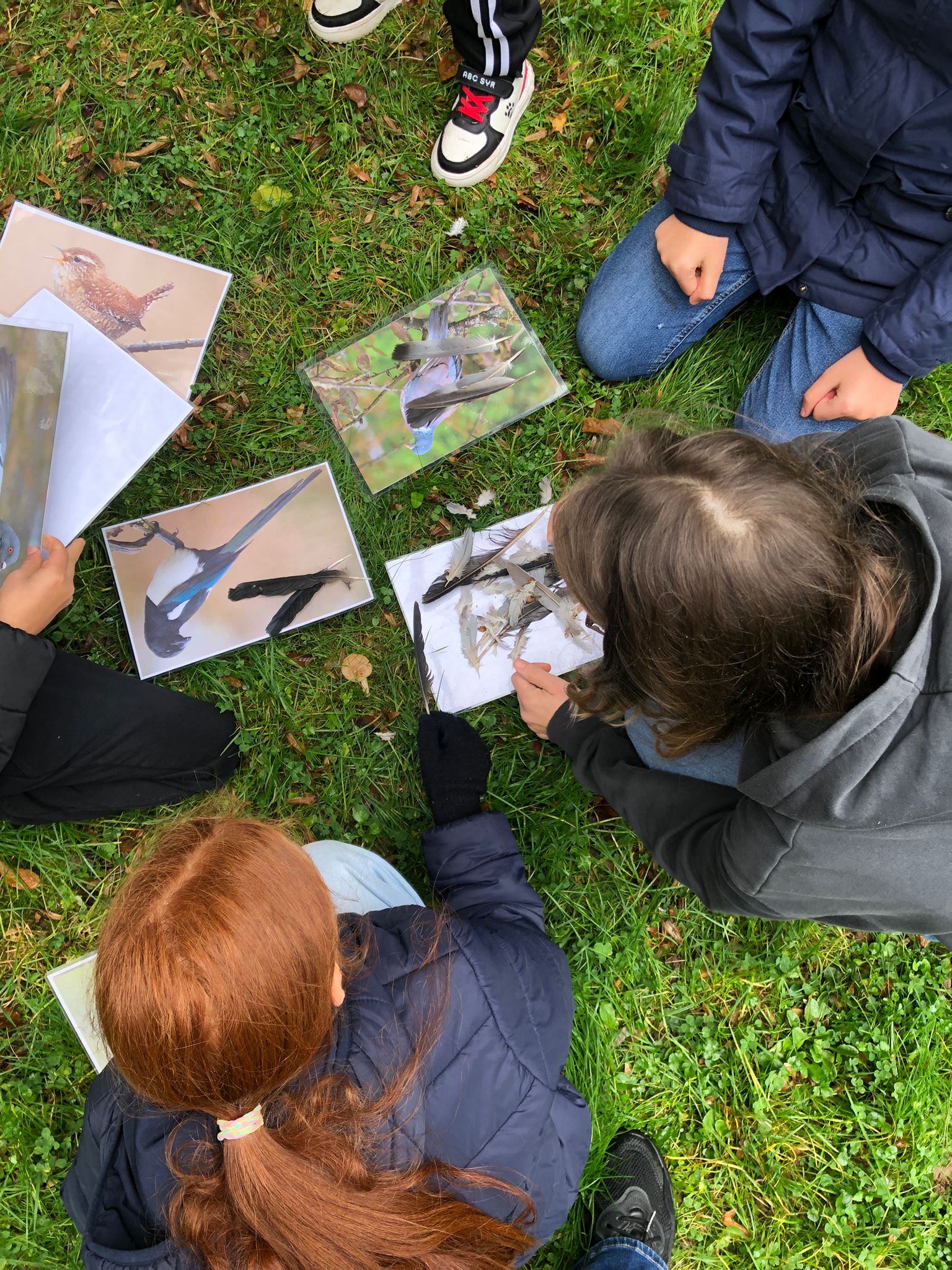 Oktober 2025: Schnitzeljagd zum Thema Vögel mit Janine Lubjuhn von Aktion Grün