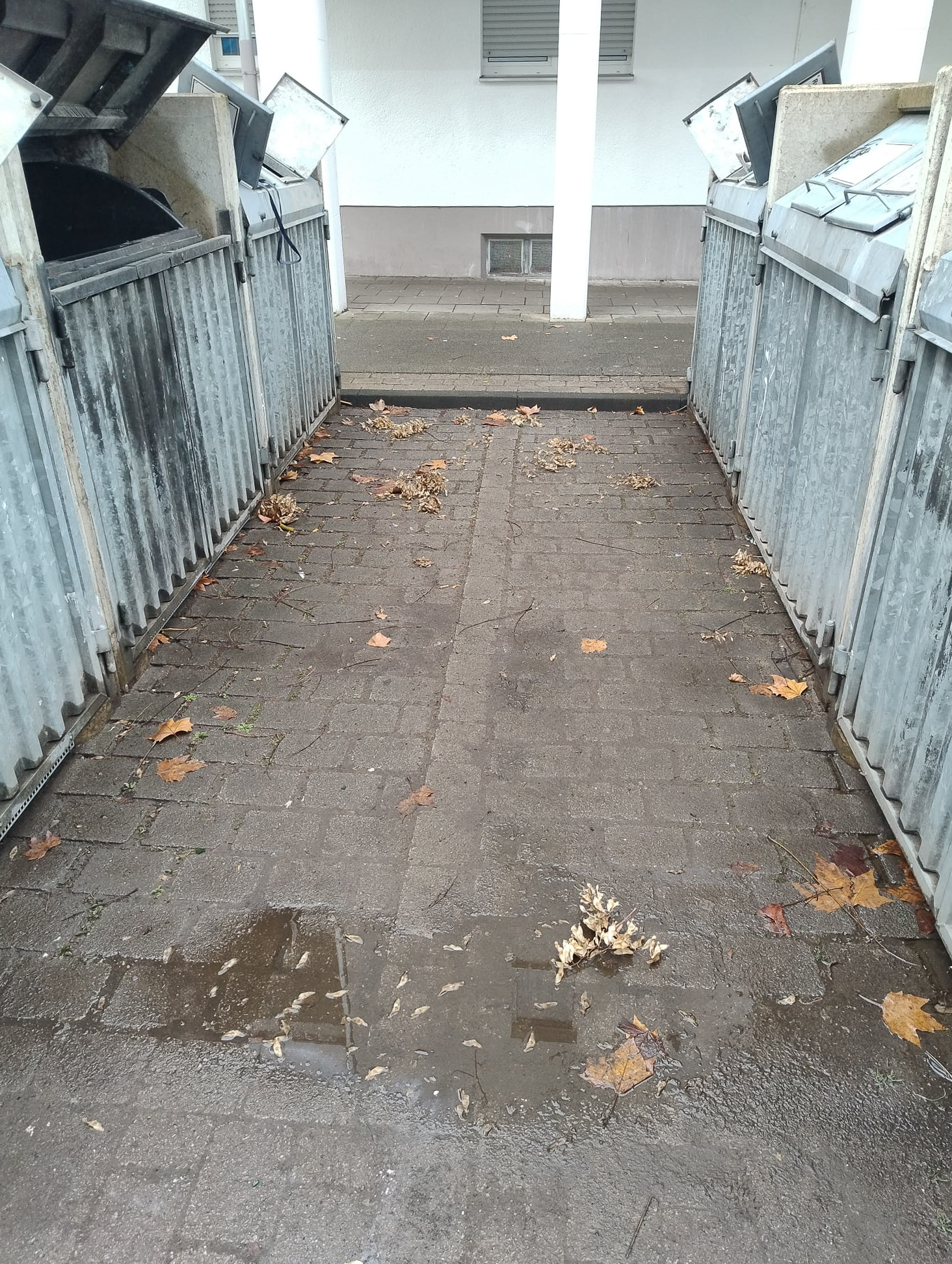 Februar 2026: Müllplatz Steubenstraße