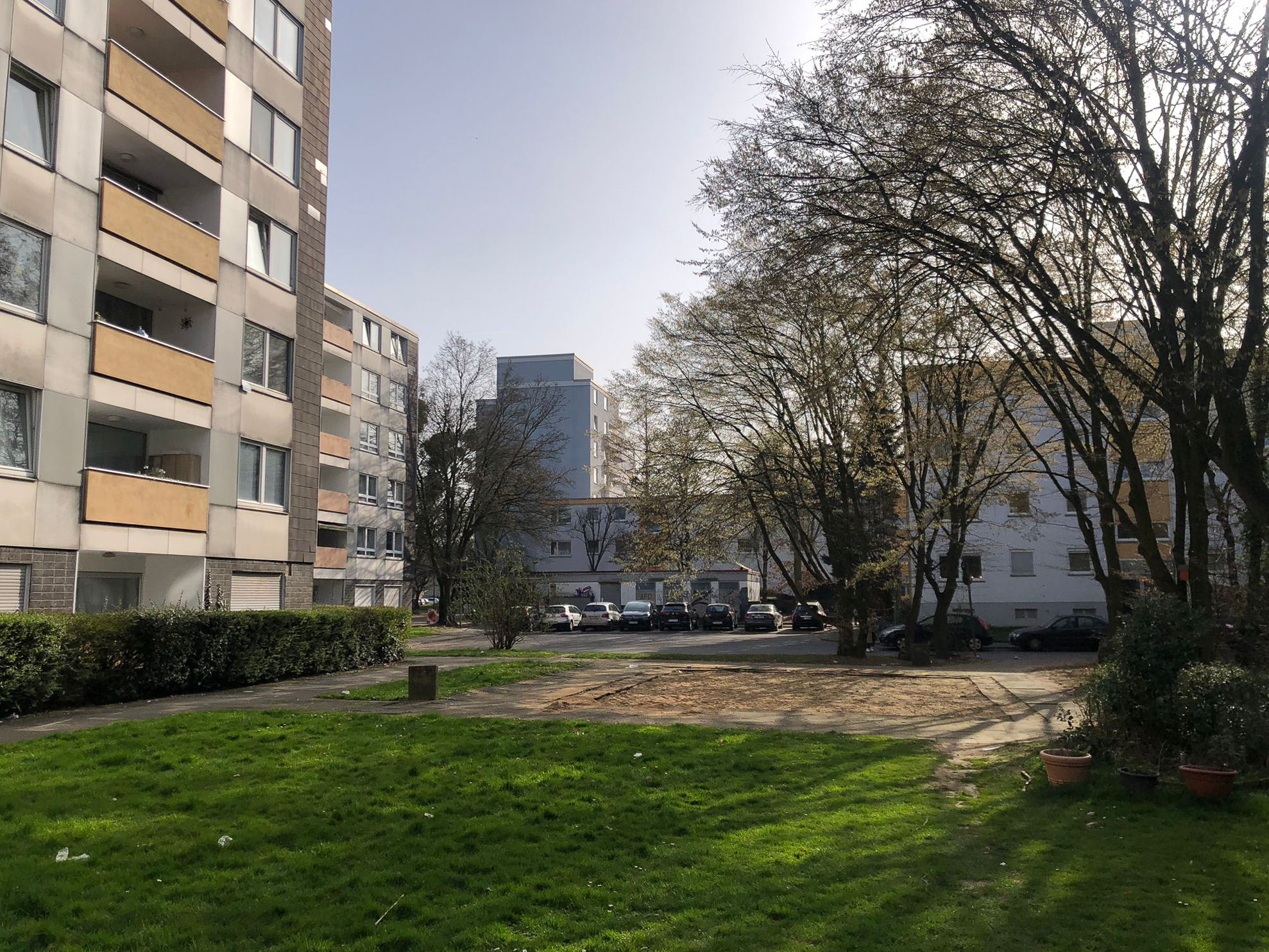 Februar 2026: Rasenfläche Ludwig-Quidde-Platz und Beete auf Rasenfläche