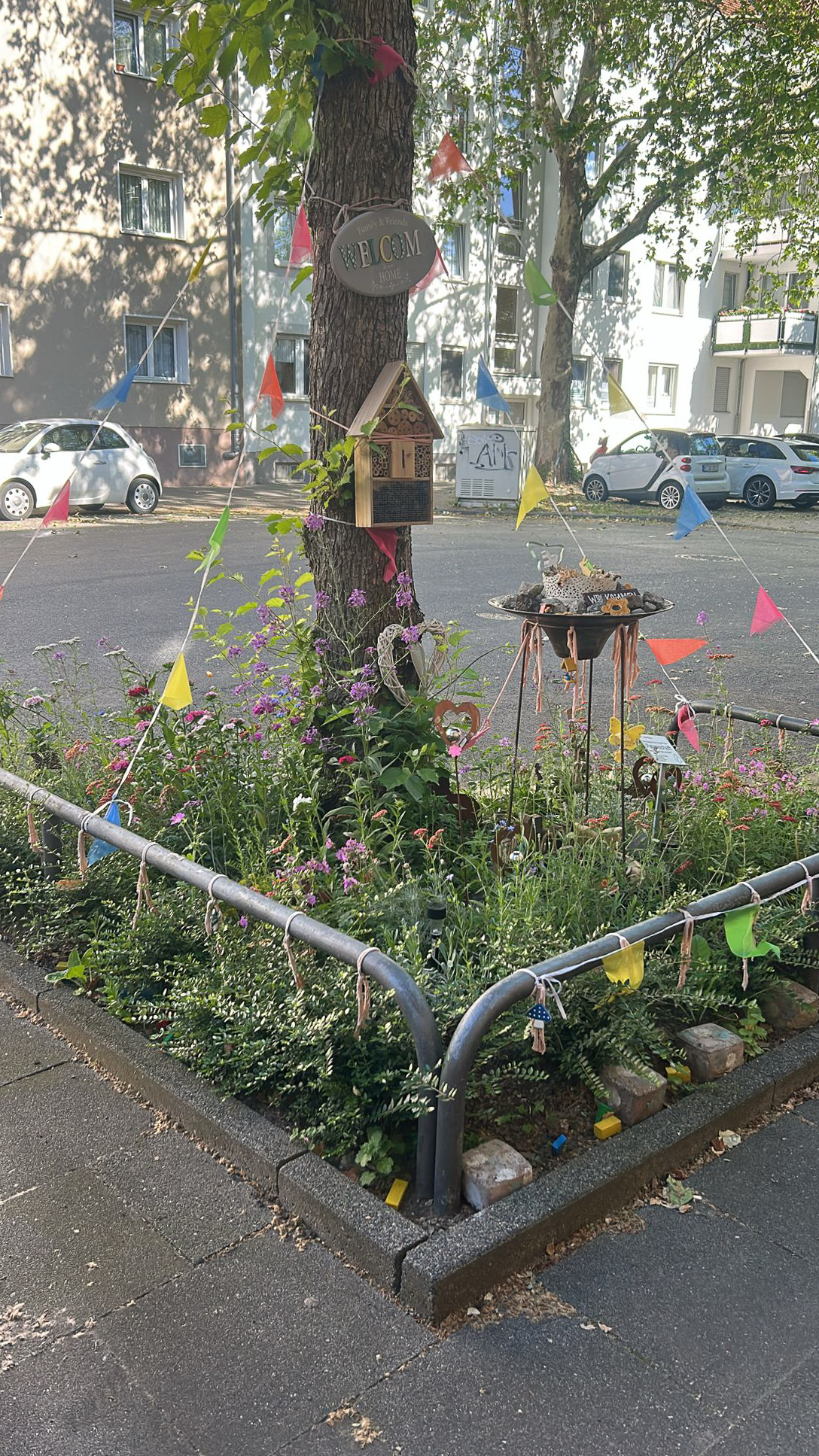 Mai 2026: Straßenbeet in der Steubenstraße