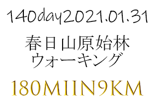 9㎞をウォーキング。春日山遊歩道をいってこい