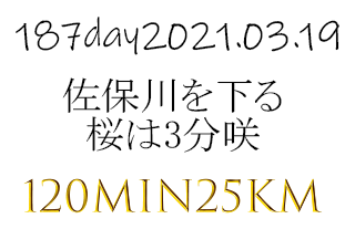 佐保川の桜は満開か。3月19日に佐保川沿いの桜を見ようと自転車で大仏鉄道跡から25号線まで下る