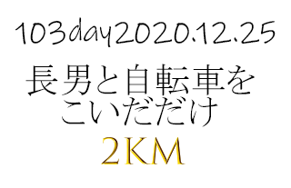 自転車で2㎞ほど長男と乗るだけのクリスマス。右の腰も痛いわ