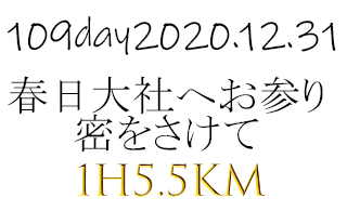 朝から春日大社へお参りがてら散歩1時間5，5㎞