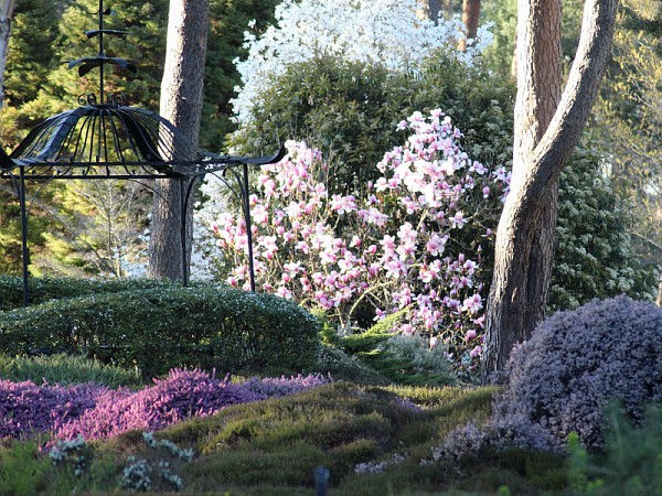 Jardin japonais à l'arboretum des grandes bruyères