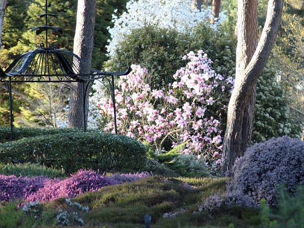 Jardin japonais à l'arboretum des grandes bruyères