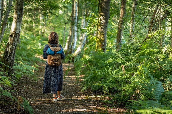 Randonnée en forêt d'Orléans