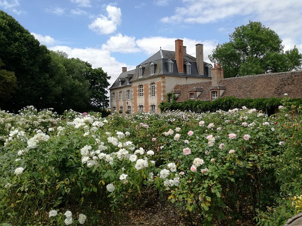 roseraie du parc du manoir de la javelière