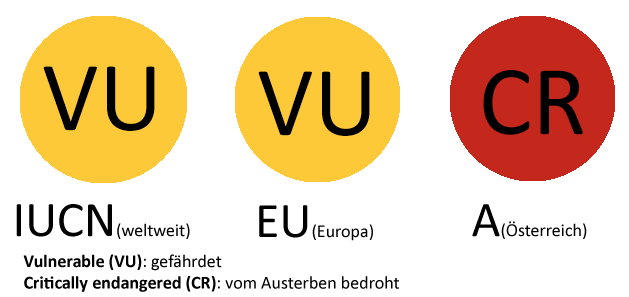Schutzstatus des Rotfußfalken gemäß der Roten Liste der Brutvögel des IUCN, EU, in Deutschland, Österreich und der Schweiz.