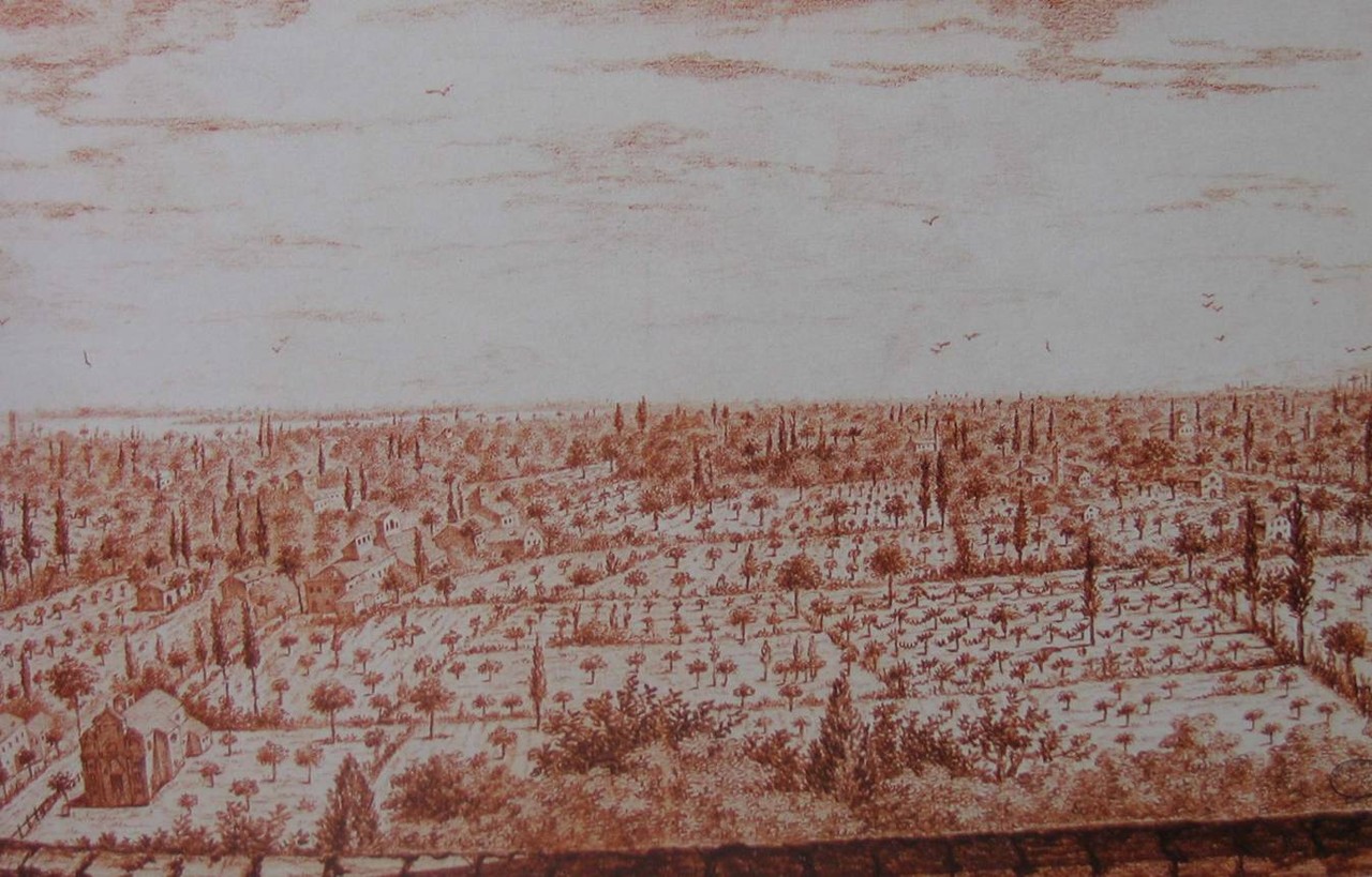 Sissa ProLocoSissaTrecasali