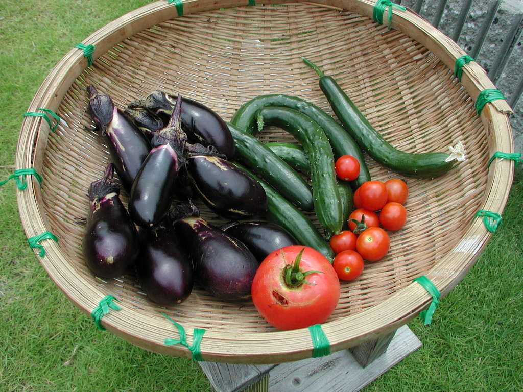 野菜は自家製