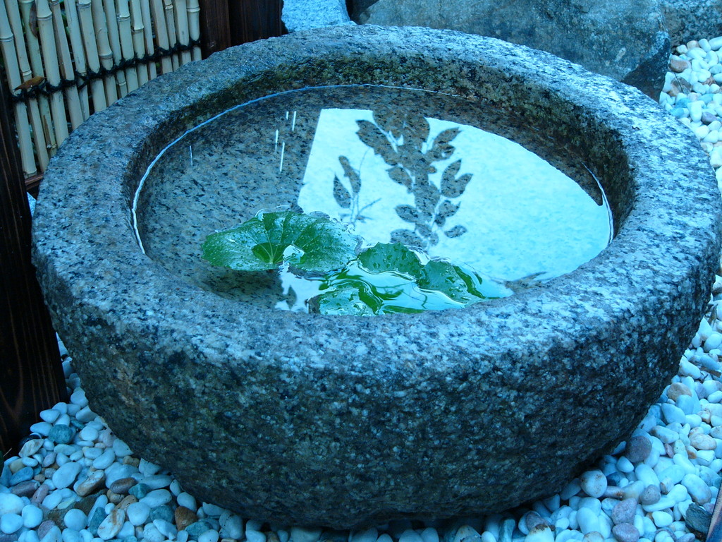 裏庭の水鉢(村野)