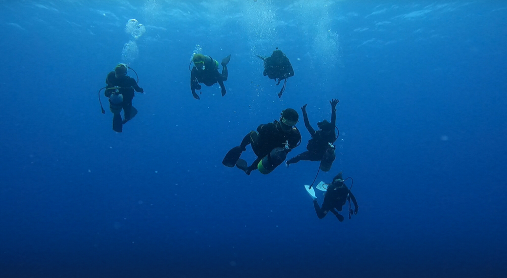 Yonaguni Island Tour