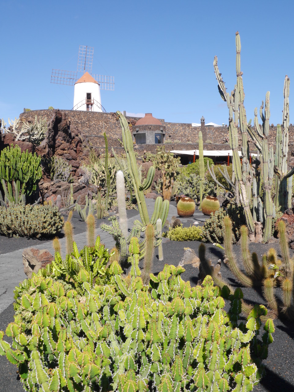 Jardin de cactus, Lanzarote, Iles Canaries