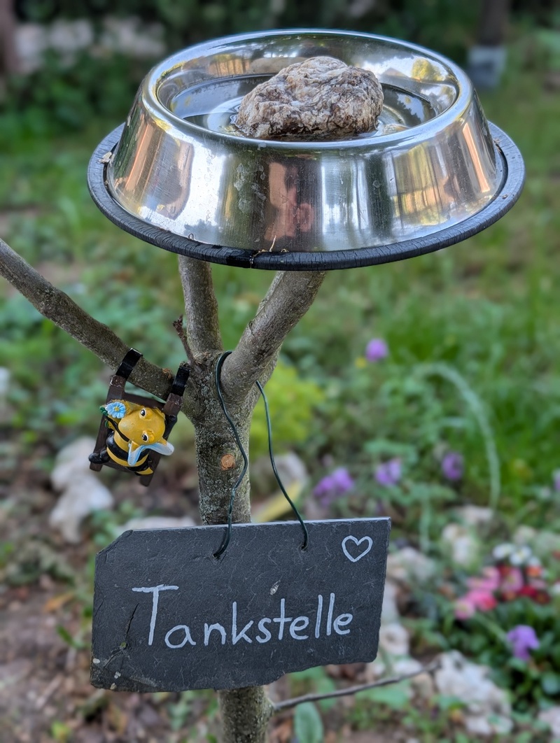 Das Foto zeigt eine Metallschüssel mit Wasser und einem großen Stein als Sitzhilfe für trinkende Bienen.