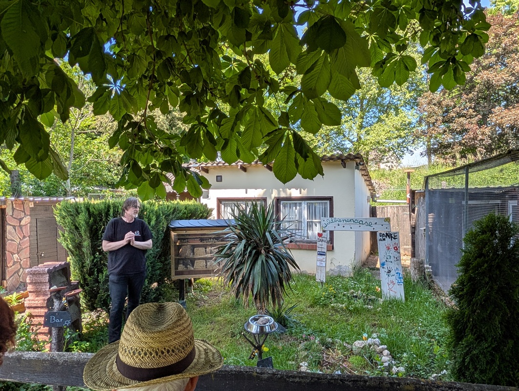 Der 2. Vorsitzende Armin Six erklärt die Welt der Wildbienen.