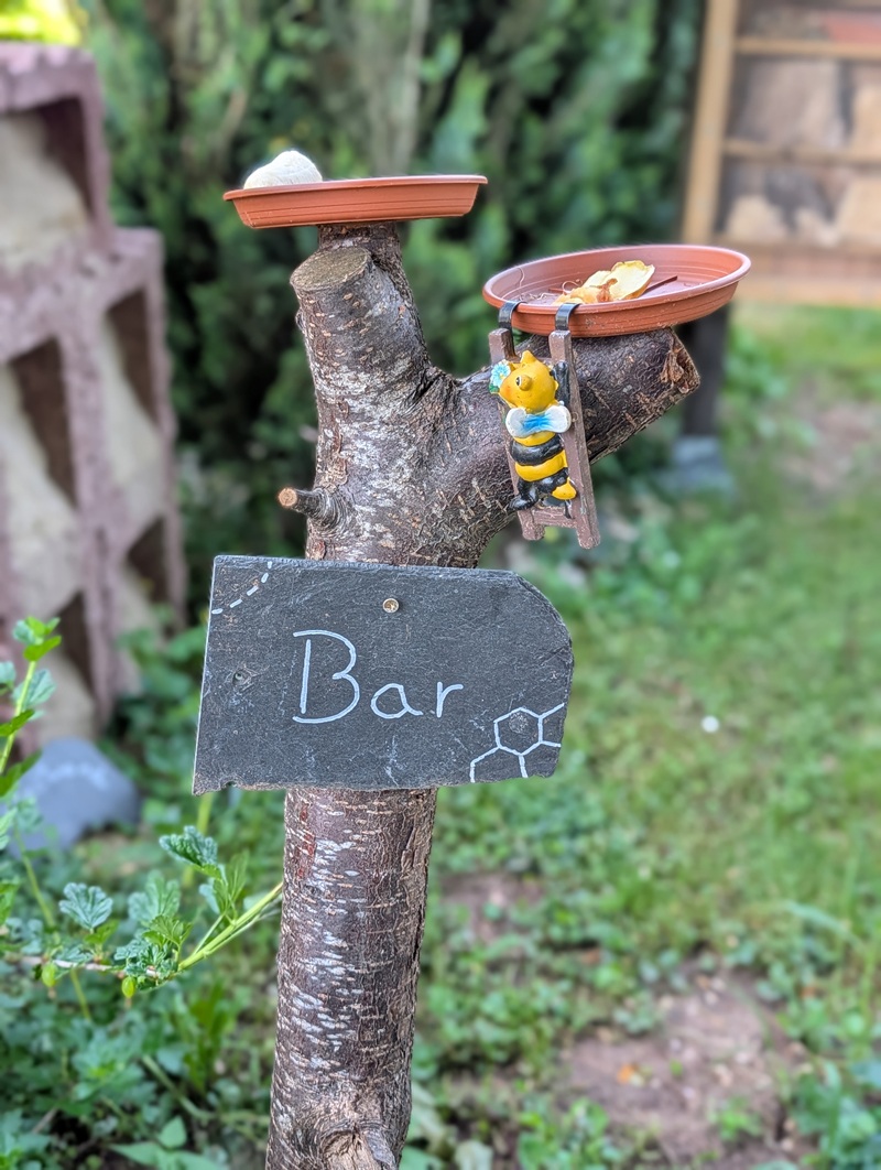 Futterstelle für Wildbienen mit ausgelegtem Obst.