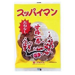 花曇りの向こう 十種神宝