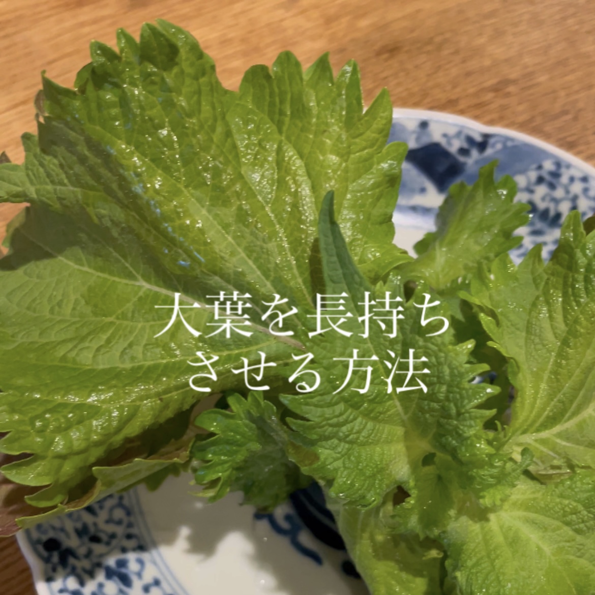 大葉を長持ちさせる保存法