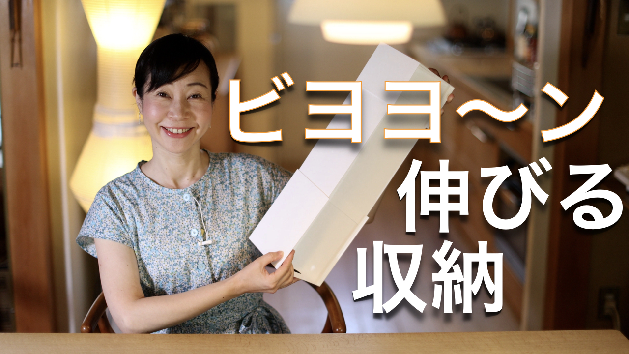 【ニトリ】奥行きが伸びる収納用品