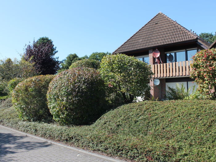 Blick auf das Haus von der Humenserstraße