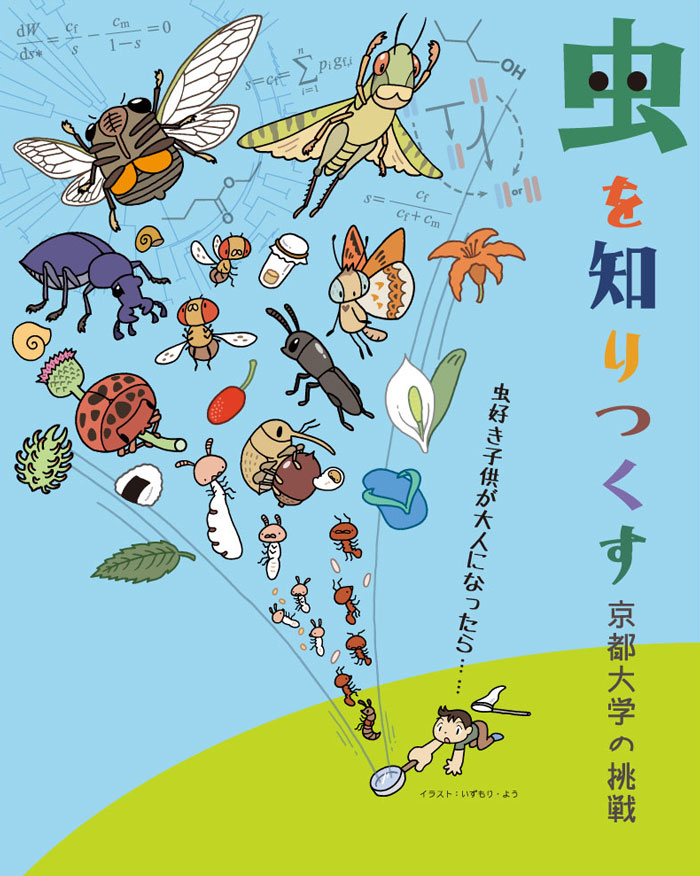 京都大学総合博物館「虫を知りつくす」展　キービジュアル　2016年