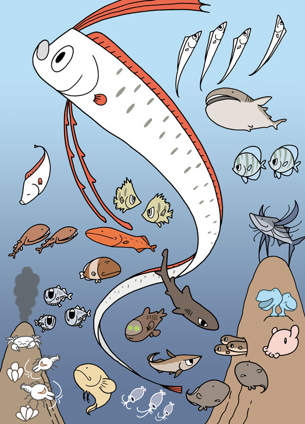 深海の生き物　2015年