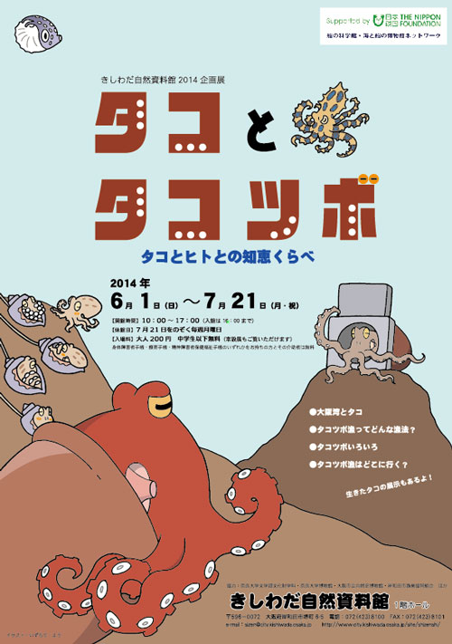 きしわだ自然資料館「タコとタコツボ」展　2014年